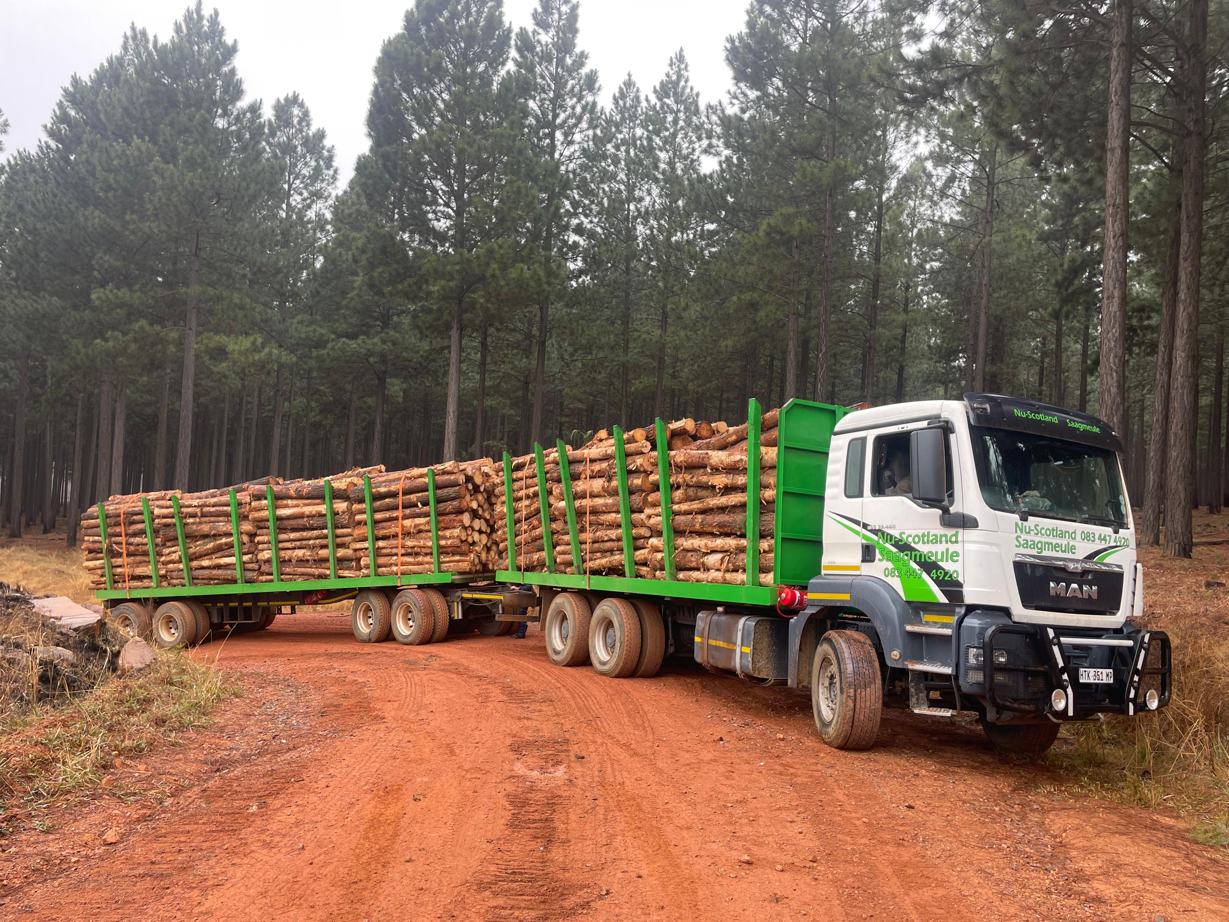 sawmill
